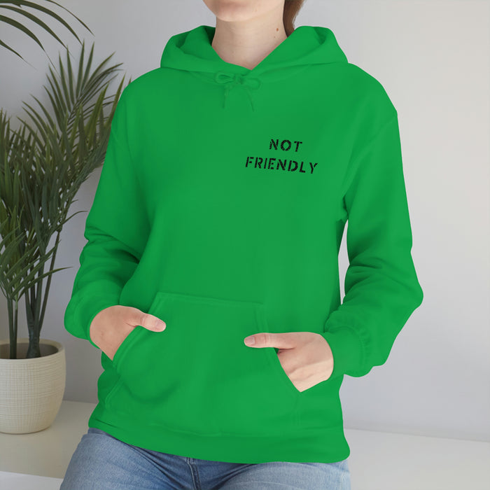 Not Friendly Heavy Blend™ Hoodie (unisex)