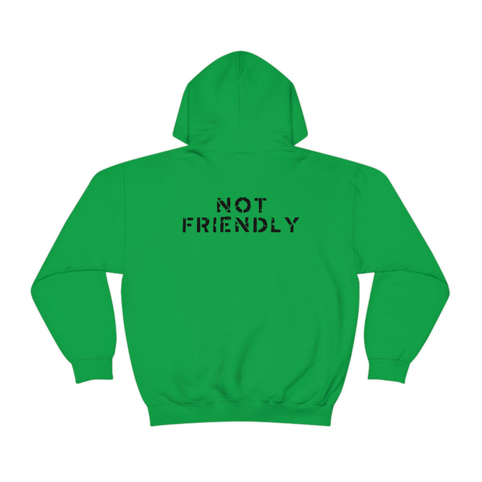 Not Friendly Heavy Blend™ Hoodie (unisex)