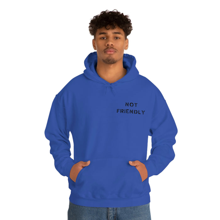 Not Friendly Heavy Blend™ Hoodie (unisex)