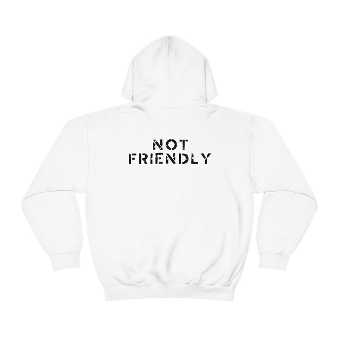 Not Friendly Heavy Blend™ Hoodie (unisex)