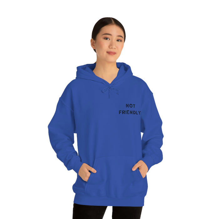 Not Friendly Heavy Blend™ Hoodie (unisex)