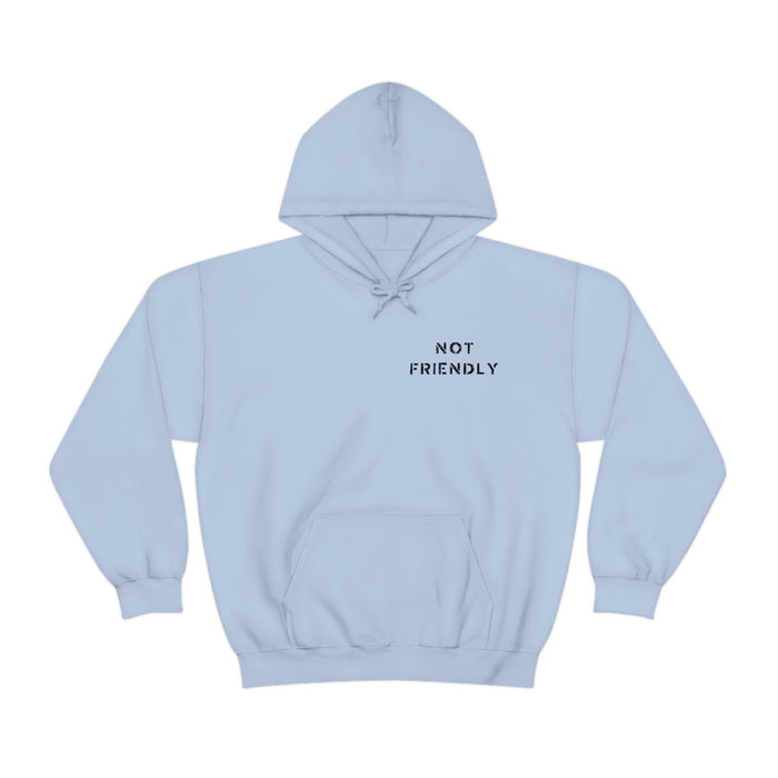 Not Friendly Heavy Blend™ Hoodie (unisex)