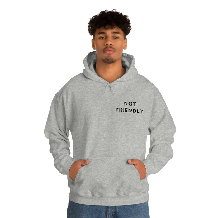 Not Friendly Heavy Blend™ Hoodie (unisex)