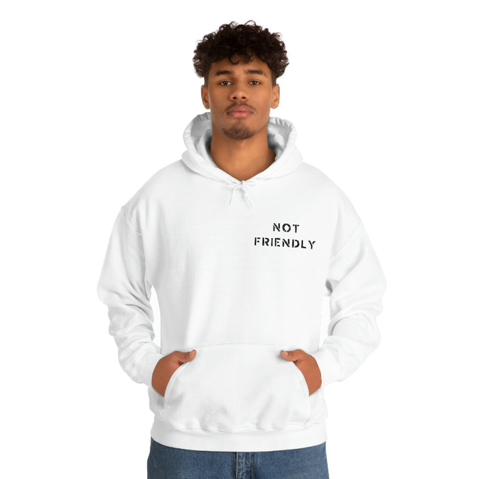 Not Friendly Heavy Blend™ Hoodie (unisex)