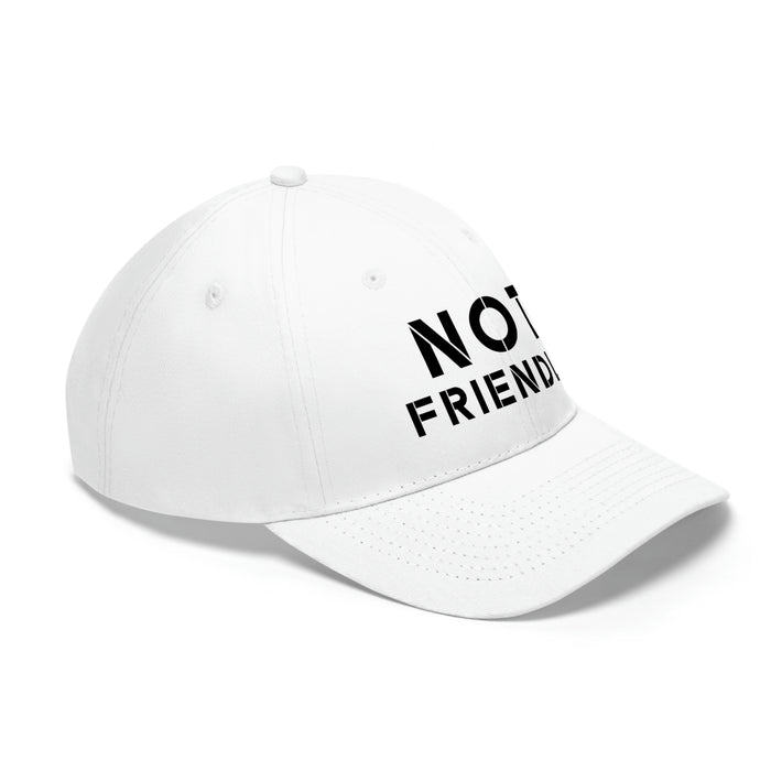 The Not Friendly Light Theme Premium Twill Cap - unisex