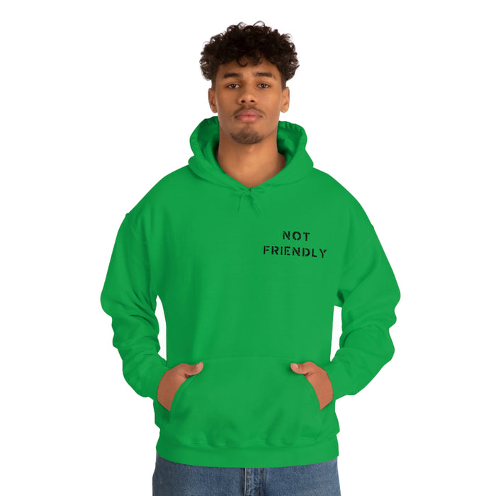 Not Friendly Heavy Blend™ Hoodie (unisex)