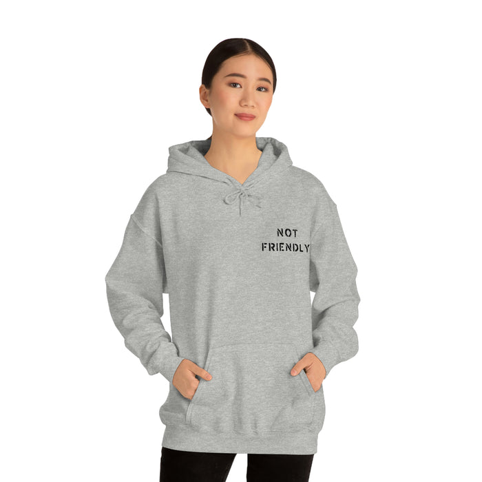 Not Friendly Heavy Blend™ Hoodie (unisex)