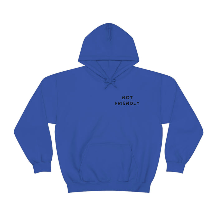 Not Friendly Heavy Blend™ Hoodie (unisex)