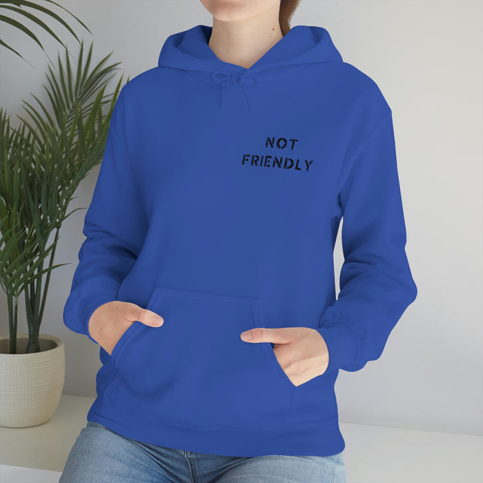 Not Friendly Heavy Blend™ Hoodie (unisex)