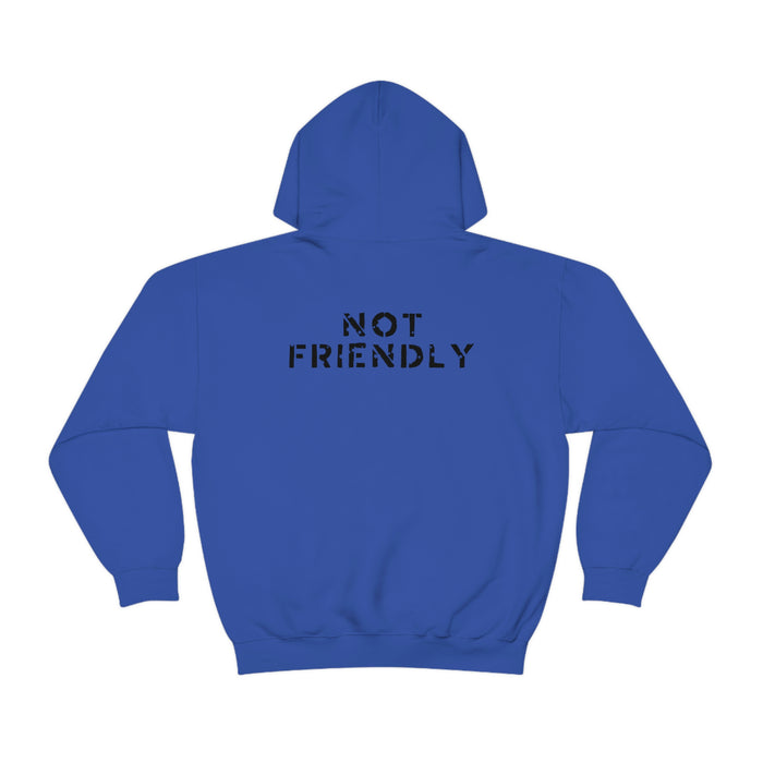 Not Friendly Heavy Blend™ Hoodie (unisex)