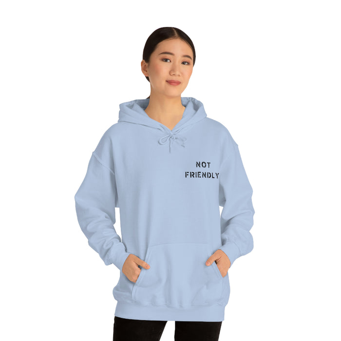 Not Friendly Heavy Blend™ Hoodie (unisex)