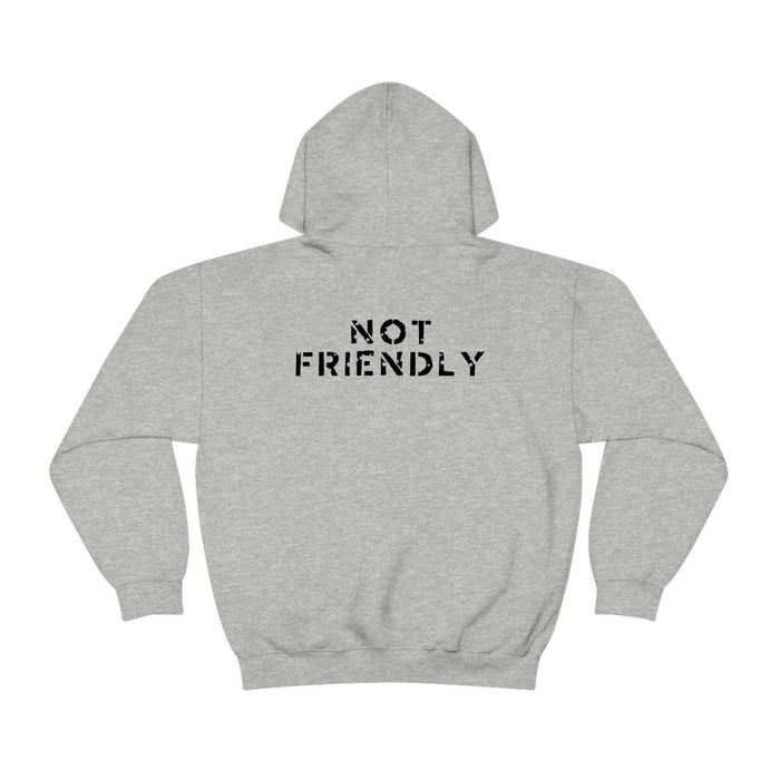 Not Friendly Heavy Blend™ Hoodie (unisex)