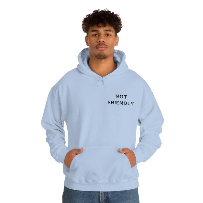 Not Friendly Heavy Blend™ Hoodie (unisex)