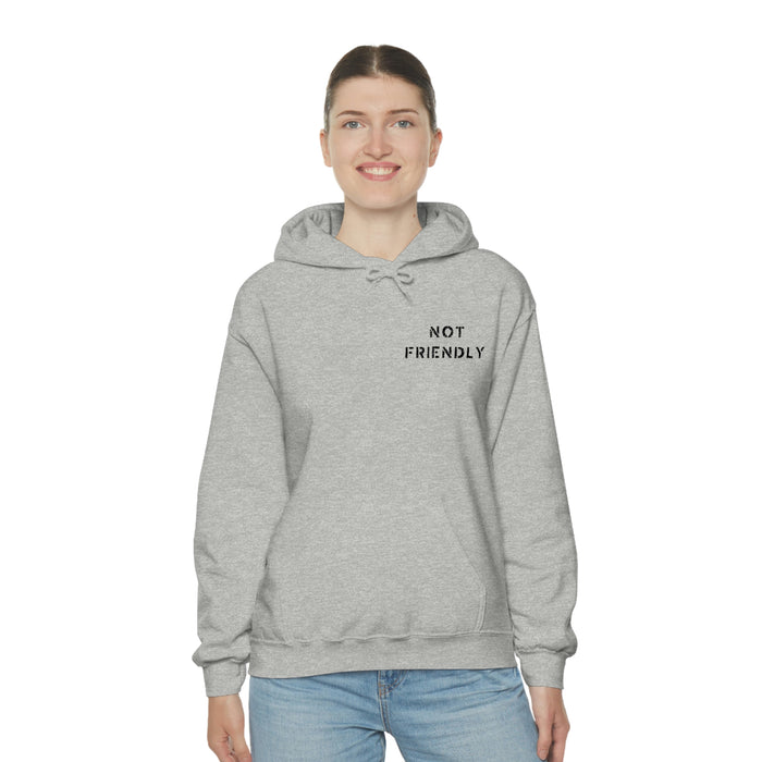 Not Friendly Heavy Blend™ Hoodie (unisex)