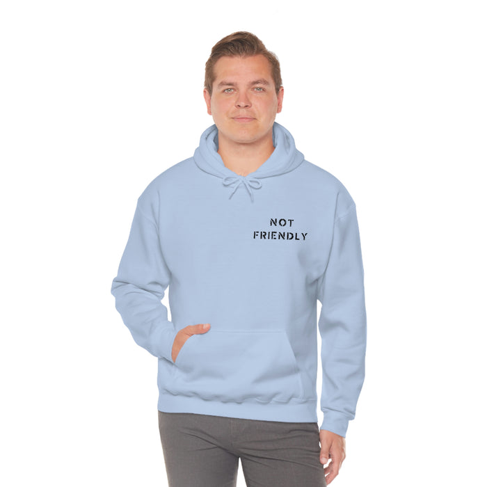 Not Friendly Heavy Blend™ Hoodie (unisex)