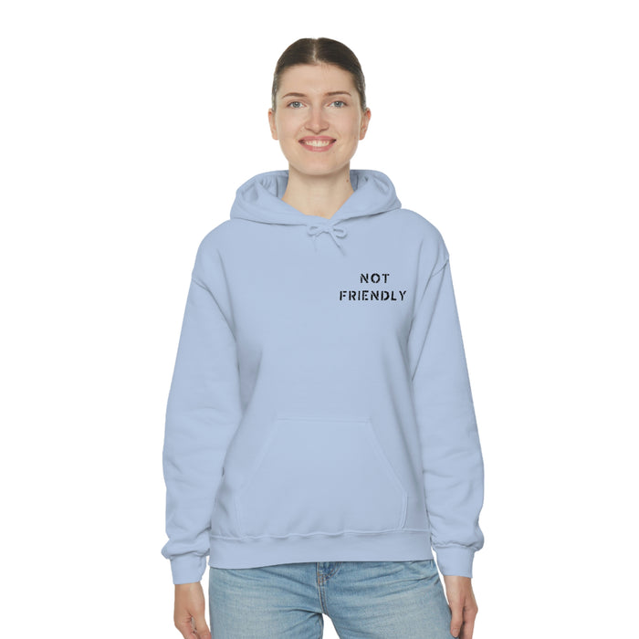 Not Friendly Heavy Blend™ Hoodie (unisex)