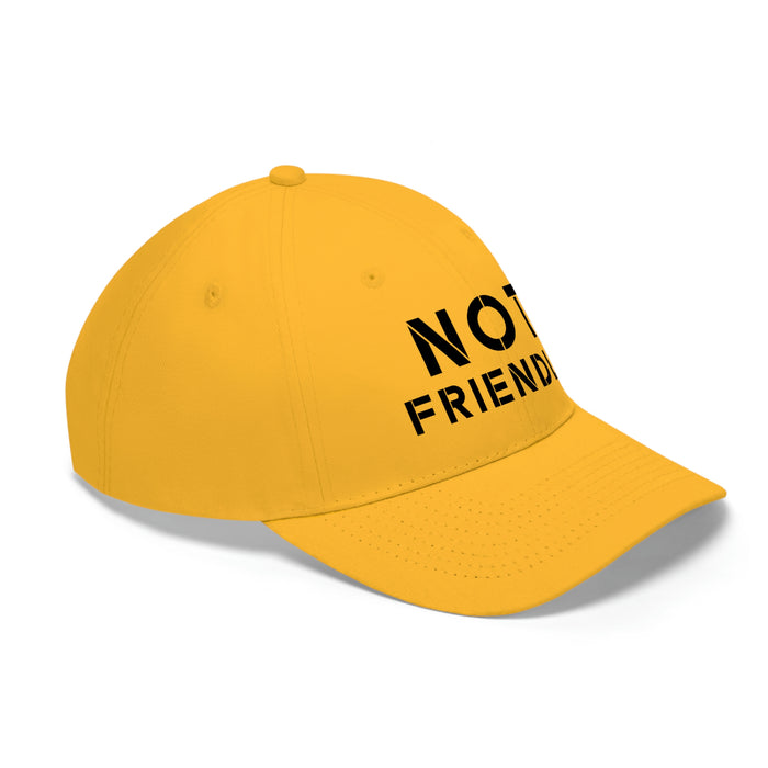 The Not Friendly Light Theme Premium Twill Cap - unisex