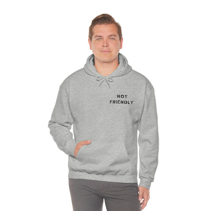 Not Friendly Heavy Blend™ Hoodie (unisex)