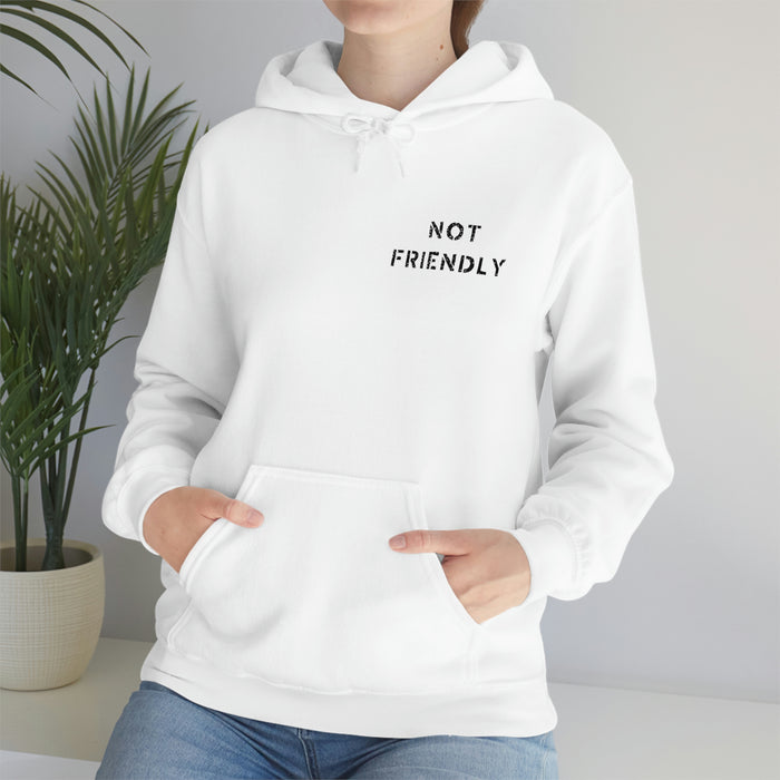 Not Friendly Heavy Blend™ Hoodie (unisex)