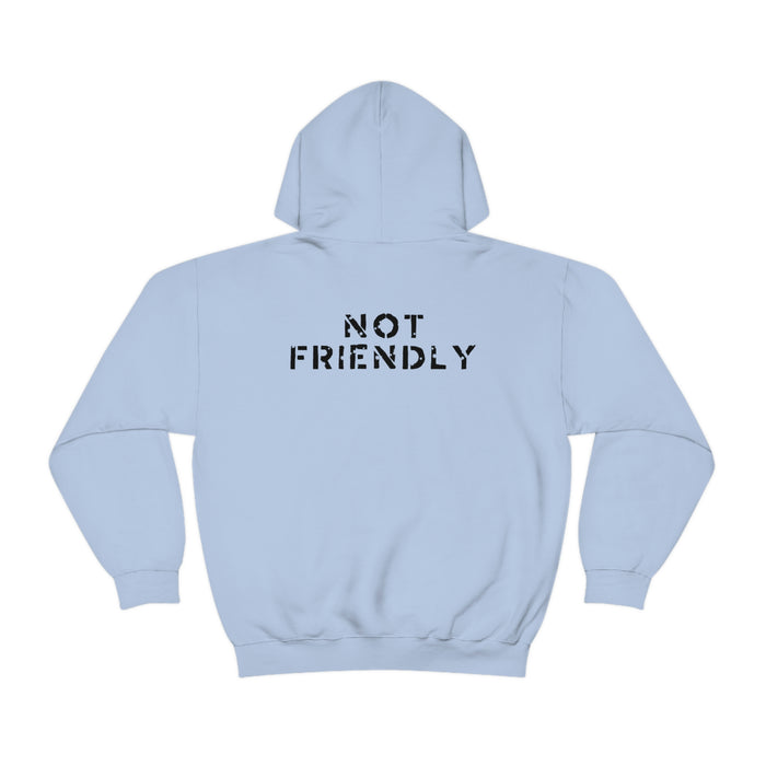 Not Friendly Heavy Blend™ Hoodie (unisex)