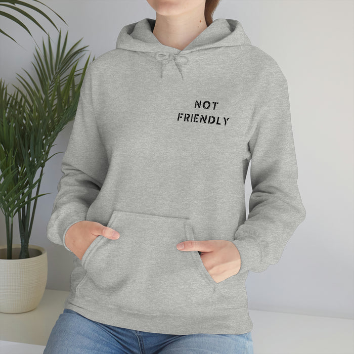 Not Friendly Heavy Blend™ Hoodie (unisex)