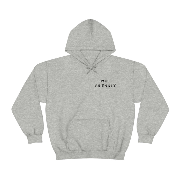 Not Friendly Heavy Blend™ Hoodie (unisex)