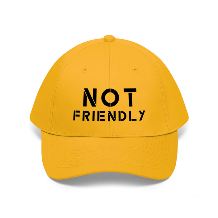 The Not Friendly Light Theme Premium Twill Cap - unisex