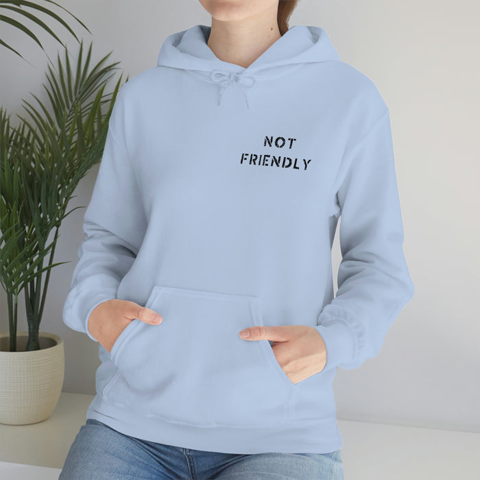 Not Friendly Heavy Blend™ Hoodie (unisex)