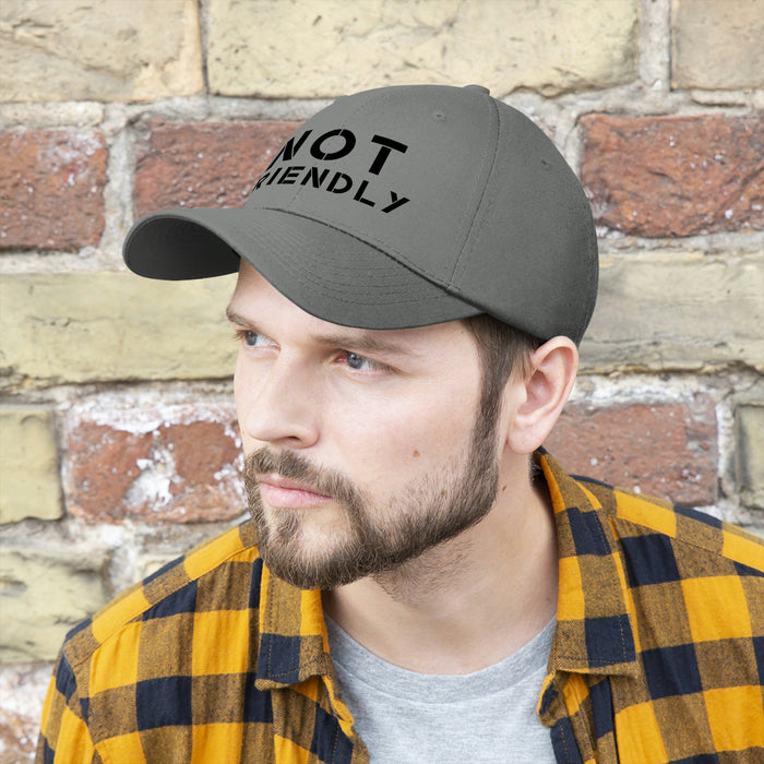 The Not Friendly Light Theme Premium Twill Cap - unisex